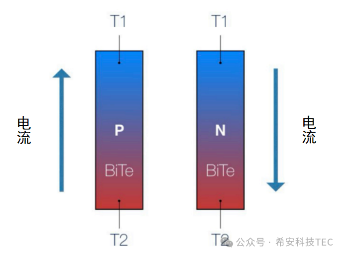 ¿Cómo funciona TEC?